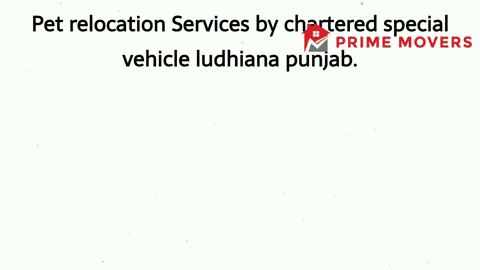 Pet transport service Ludhiana