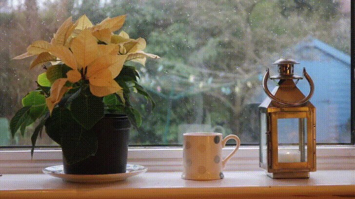 Week Uk GIF - Find & Share on GIPHY