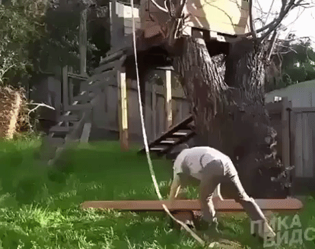 Great minds in fail gifs