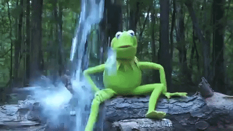 Kermit GIFs - Find & Share on GIPHY