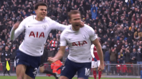 London Football GIF by Tottenham Hotspur