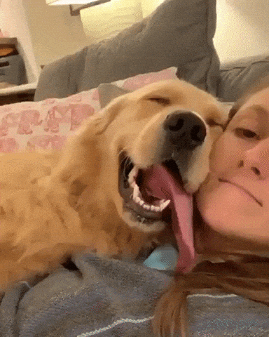 Happy cuddling in dog gifs
