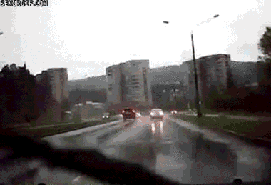 giphy gif