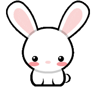 transparent bunny rabbit aww relaxed