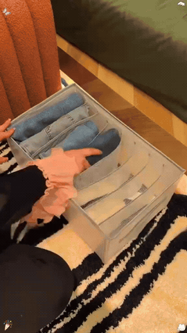 Organizador de ropa plegable