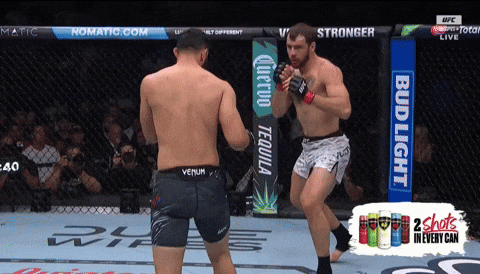 giphy.gif