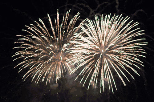 fireworks clipart gif - photo #13