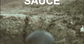 Sauce GIF