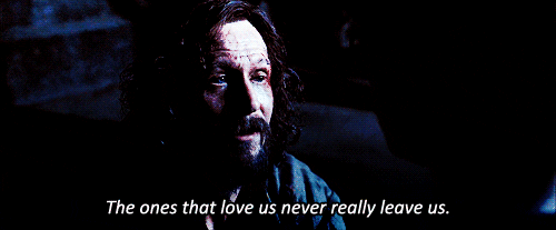 Harry Potter Gif GIF - Find & Share on GIPHY