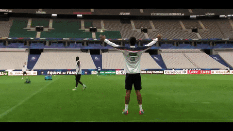 giphy.gif