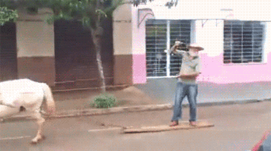Weed Aftermath in funny gifs