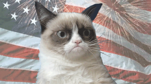 American Flag America GIF - Find & Share on GIPHY
