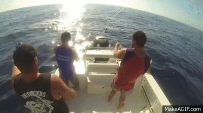 Boat Get GIF - Find & Share on GIPHY