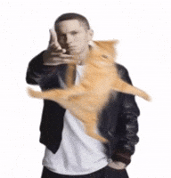 GIF eminem cat para Instagram