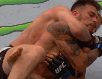 Image result for rear naked mma gif