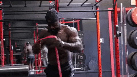 Mike Rashid Bicep Curls 