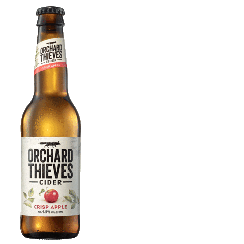 apple-cider-sticker-by-orchard-thieves-for-ios-android-giphy