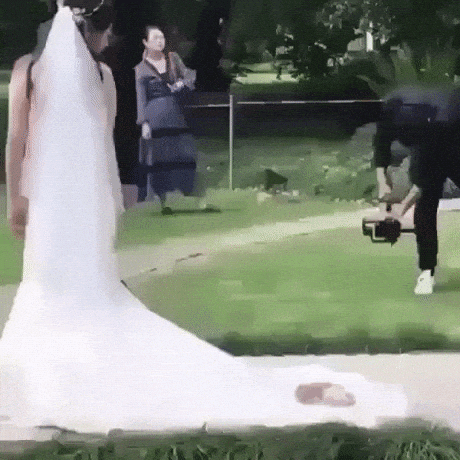 When your hooman is getting married in cat gifs