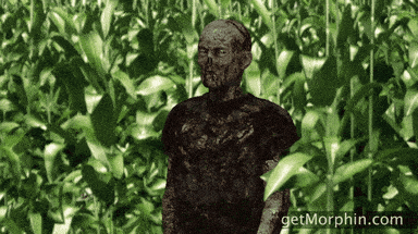 giphy-downsized.gif