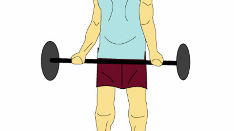 Barbell Bicep Curl GIFs - Find & Share on GIPHY