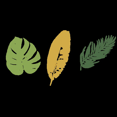 Leaves GIFs - Find & Share on GIPHY