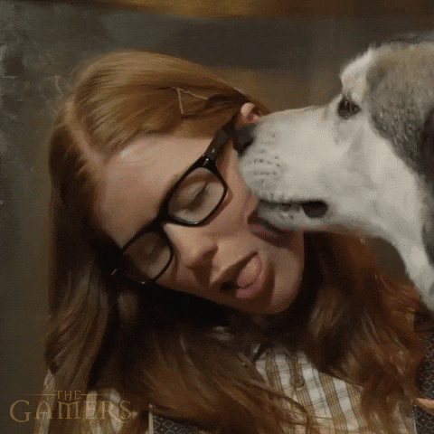 giphy.gif