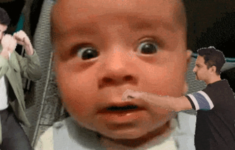 giphy.gif
