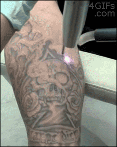 giphy.gif