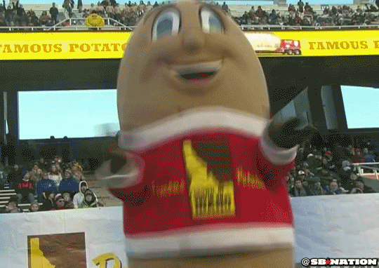 giphy.gif