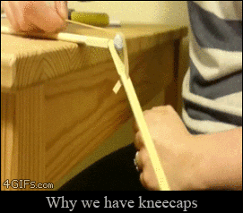 Why we have kneecaps in wow gifs
