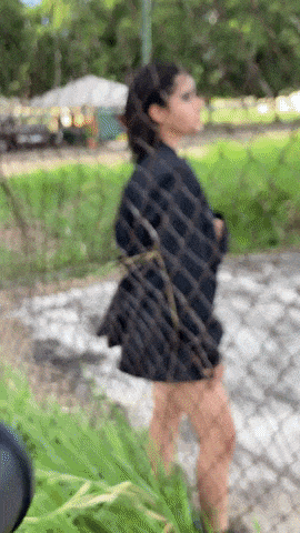 giphy-downsized-large.gif