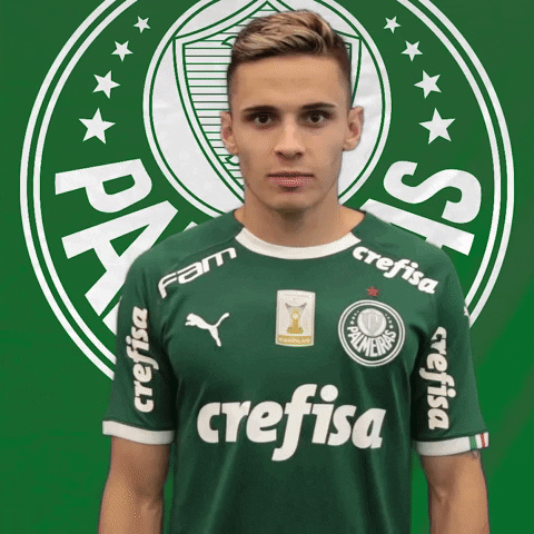 SE Palmeiras GIF
