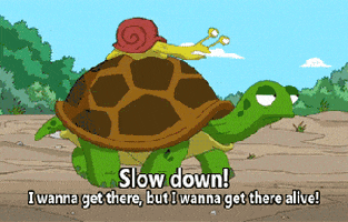 Slow Down Turtles GIF - Find & Share on GIPHY