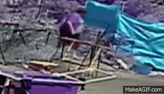giphy.gif