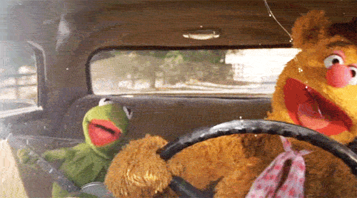 Gif dos personagens dos Muppets dirigindo um carro