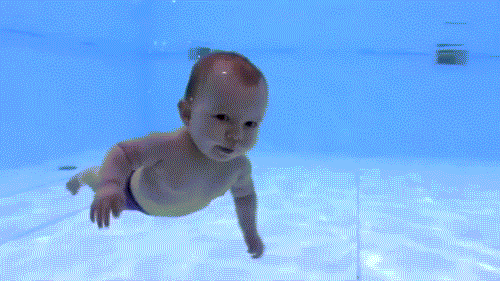 Baby Swimming GIF - Find & Share on GIPHY