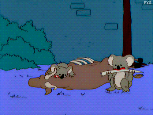 giphy.gif