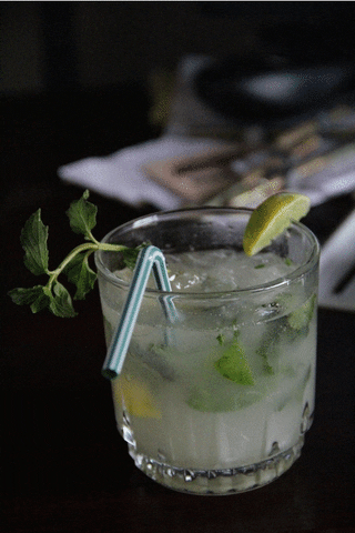 3D Mojito GIF - Find & Share on GIPHY