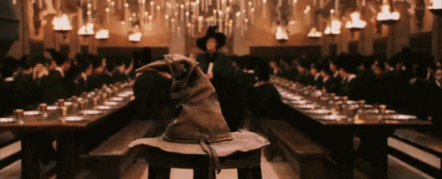 Harry Potter sorting hat gif
