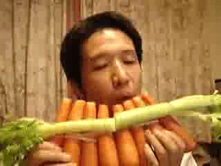 Cheezburger funny wtf carrots pan flute