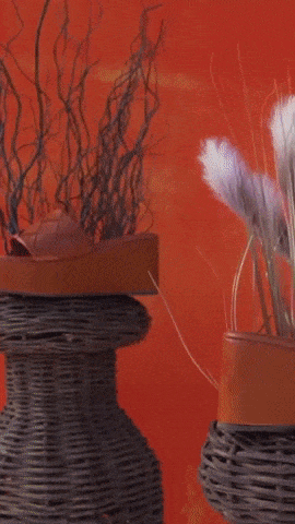 Giphy/Shoestock/Divulgação