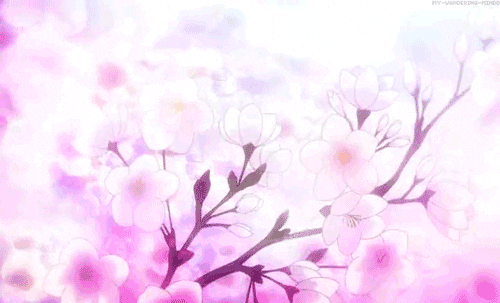 anime sakura cherry blossom