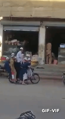 Whole Cricket Team in funny gifs