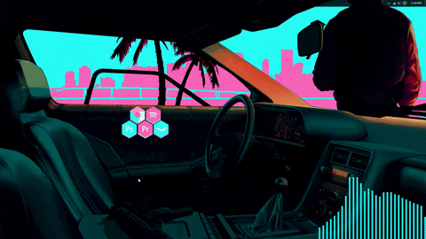 fans miami gif find