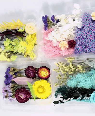 dried flowers-dry flowers-dried flower bouquet uk-dried flowers wholesale uk-essential oils diffuser-dried flowers-doterra essential oils-dried letterbox flowers