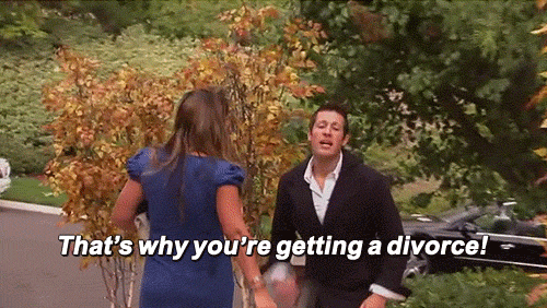 Real Housewives Of Orange County Divorce GIF - Find & Share on GIPHY
