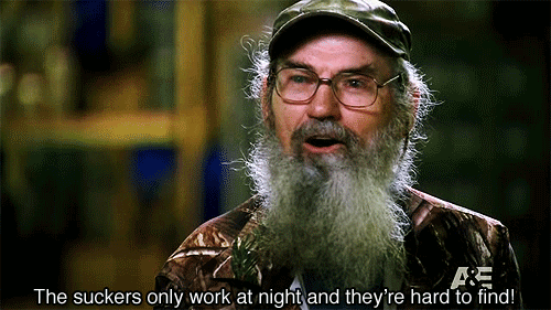 Duck Dynasty GIF - Find & Share on GIPHY