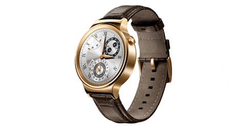 Luxury smart watch