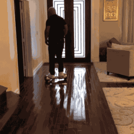 hoverboard mike tyson