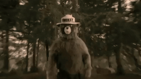 Image result for smokey the bear gif